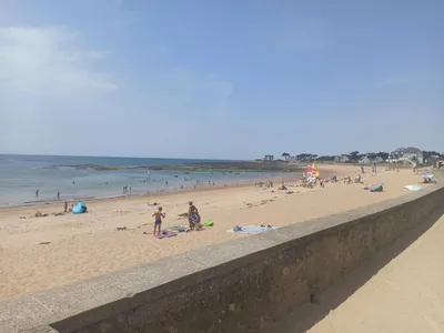 Canicule 2025 : au moins 480 morts en excès en France, un été déjà...