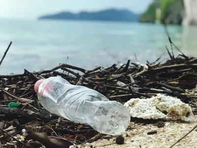 La pollution plastique, un "danger grave et croissant" pour la...