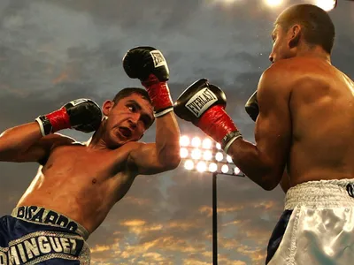 Un championnat de France de boxe anglaise à Deauville, le 2 août