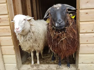 Gagnez votre entrée famille au Domaine d'écoline