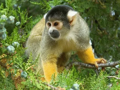 Gagnez vos entrées au Zoo des Sables d'Olonne !