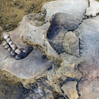 Nantes : des ossements humains découverts sur un chantier