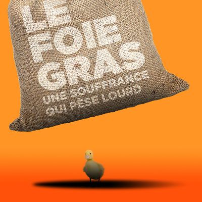Saint-Etienne : L214 propose une action contre le foie gras