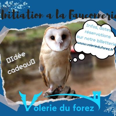 Initiation à la fauconnerie hivernale à Marcilly-le-Châtel