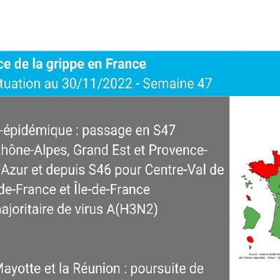 La Loire en phase pré-épidémique pour la grippe