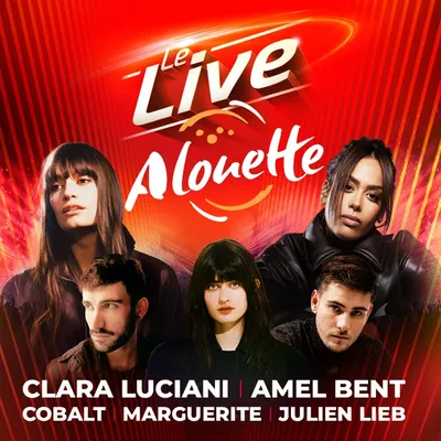 Le Live Alouette à Nantes : découvrez les artistes ! 