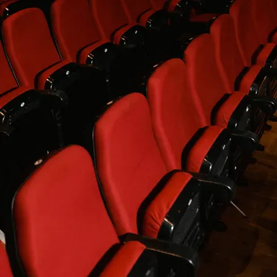 Morbihan : des fauteuils de cinéma mis en vente 