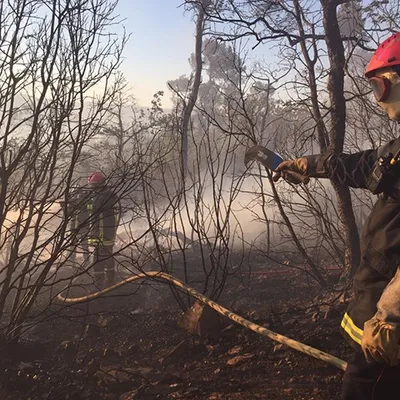 Bretagne : 120 hectares brûlés dans la forêt de Brocéliande, le feu...