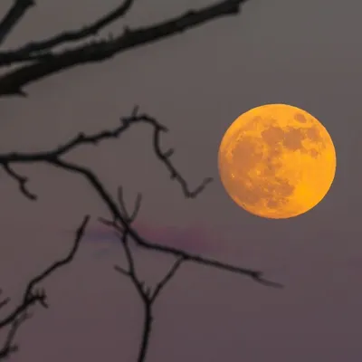 "Lune de sang" : où et quand l'observer ?