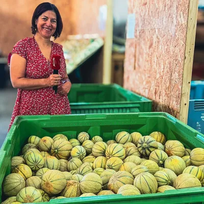 Comment bien choisir votre melon ?