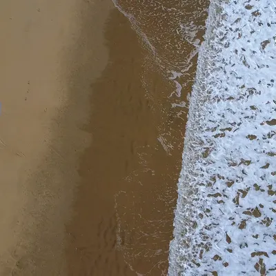 En Vendée, le surf attire de plus en plus de monde