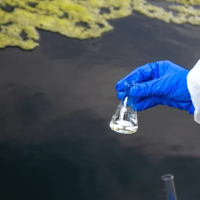 Amboise : enquête en cours après la pollution d’une rivière