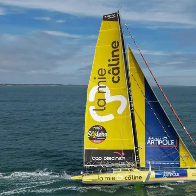 Voile : "La Mie Câline" d’Arnaud Boissières, victime d'une collision