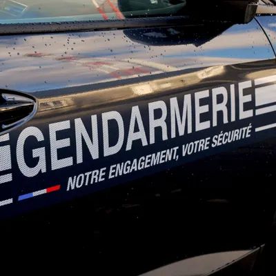 Civelles : un trafic illégal démantelé en Vendée et en...