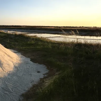 Loto de la biodiversité 2025 : les sites de nos régions retenus
