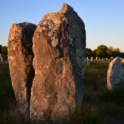 Morbihan : 39 menhirs détruits pour la construction d’un magasin de...