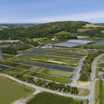 Vendée : pour ses 70 ans, la pépinière Ripaud ouvre son site de...