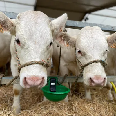 Découvrez les différents métiers de la ferme à la Foire de Sedan