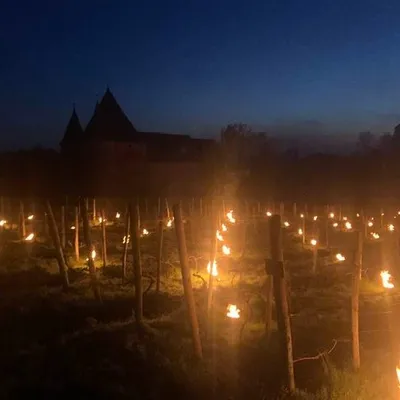 Des bougies face au froid pour sauver les vignes du nord Ardennes