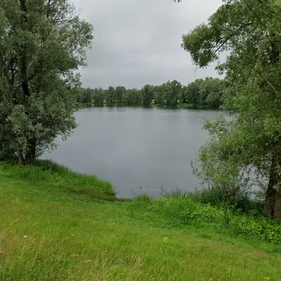 Un homme récupéré par les pompiers après s'être jeté à l'eau