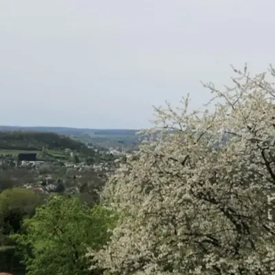 Un air de mauvaise qualité dans la région