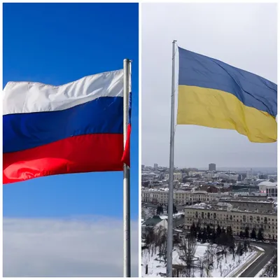 Famine à Gaza, tensions Moscou-Kiev et cyberattaque chez France...