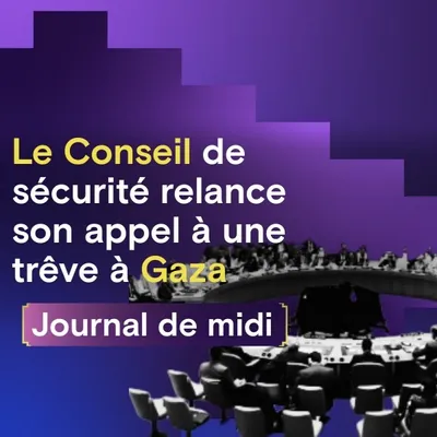Cessez-le-feu à Gaza : vote à l’ONU,  France: la colère monte chez...