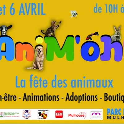 ANIMOH: la fêtes des animaux au Parc Expo de Mulhouse