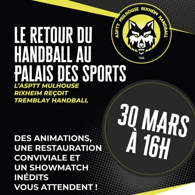 Le retour du handball mulhousien au Palais des Sports !