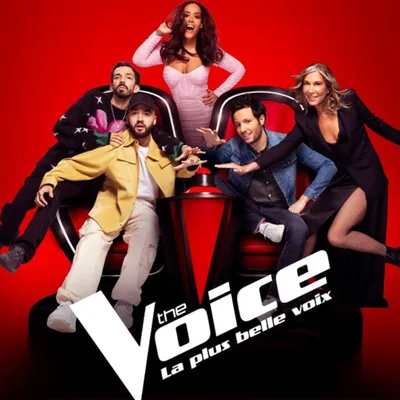 The Voice : nouvelle saison (12e) samedi sur TF1 avec les Indés...