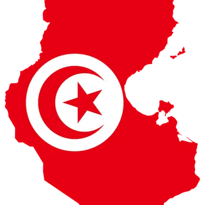 La Maison Tunisie brûle ! Quelle Solution ?