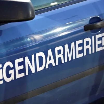 Scandale à Dijon : un septuagénaire arrêté pour des abus d'enfants...