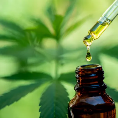 Découvrez comment le CBD peut aider à réduire le stress et l'anxiété !