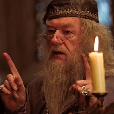  Harry Potter : l'acteur Michael Gambon n'aurait jamais dû jouer...