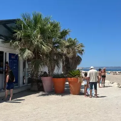 Conflit sur la plage Marseillaise : la ville s'oppose à la paillote...