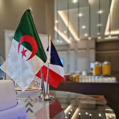 Accès aux zones réservées des aéroports : l’Algérie rejette la...