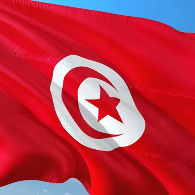 Tunisie : L’inclusion économique des femmes au cœur des ambitions...
