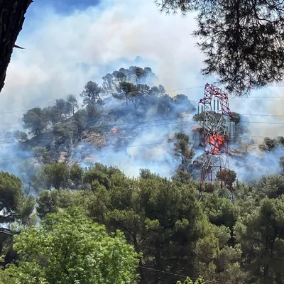 [ Incendie ] Incendies dans le Sud : 700 hectares ravagés, des...