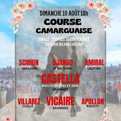 [ CULTURE - LOISIR ] FINALE DU TROPHEE DES IMPERIAUX CE DIMANCHE 10...