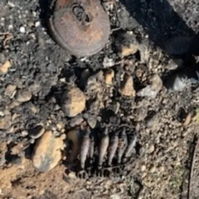 [ Sécurité ] Opération de déminage à Miramas : des obus détruits...