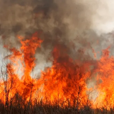 [ Société ] Risque incendie élevé : fermeture exceptionnelle des...