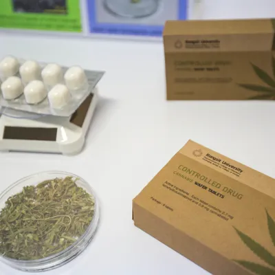 [ Santé ] Cannabis thérapeutique : une prolongation d'un an, mais...