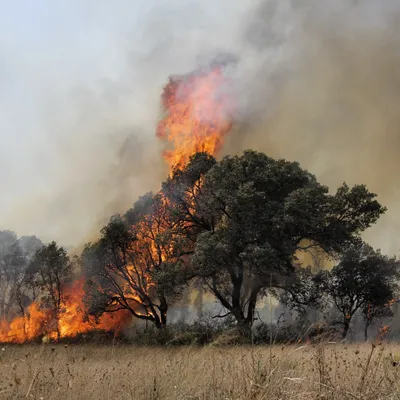 [ Sécurité ] Été 2025 : une vigilance maximale face aux incendies...