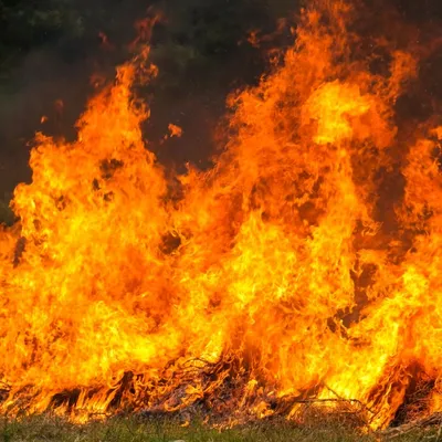 [ Sécurité ] Série d’incendies à Nîmes : le sud de la ville sous...