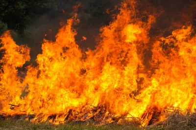 [ Sécurité ] Série d’incendies à Nîmes : le sud de la ville sous...