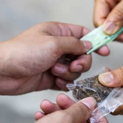 [ Culture - Loisir ] Les trafiquants de drogue bientôt privés de...