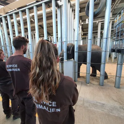Plus de 9 000€ collectés grâce aux  « Foulées de la Tanière »