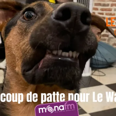 Un coup de patte pour le WAF à Lille svp! 