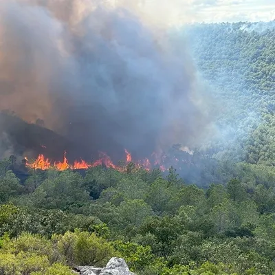 L'Aude touchée par un violent incendie