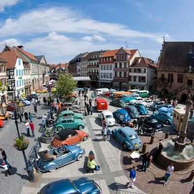 Molsheim Cox Show 2025